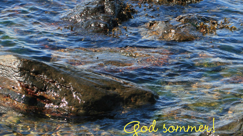 Sommerens menighetsblad kan du lese her