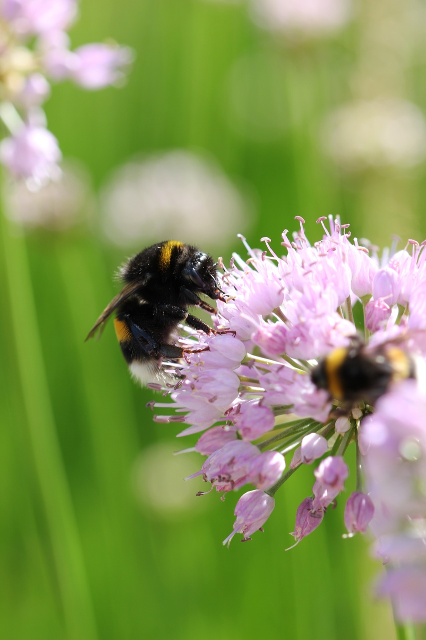 Hva kan vi gjøre konkret?
