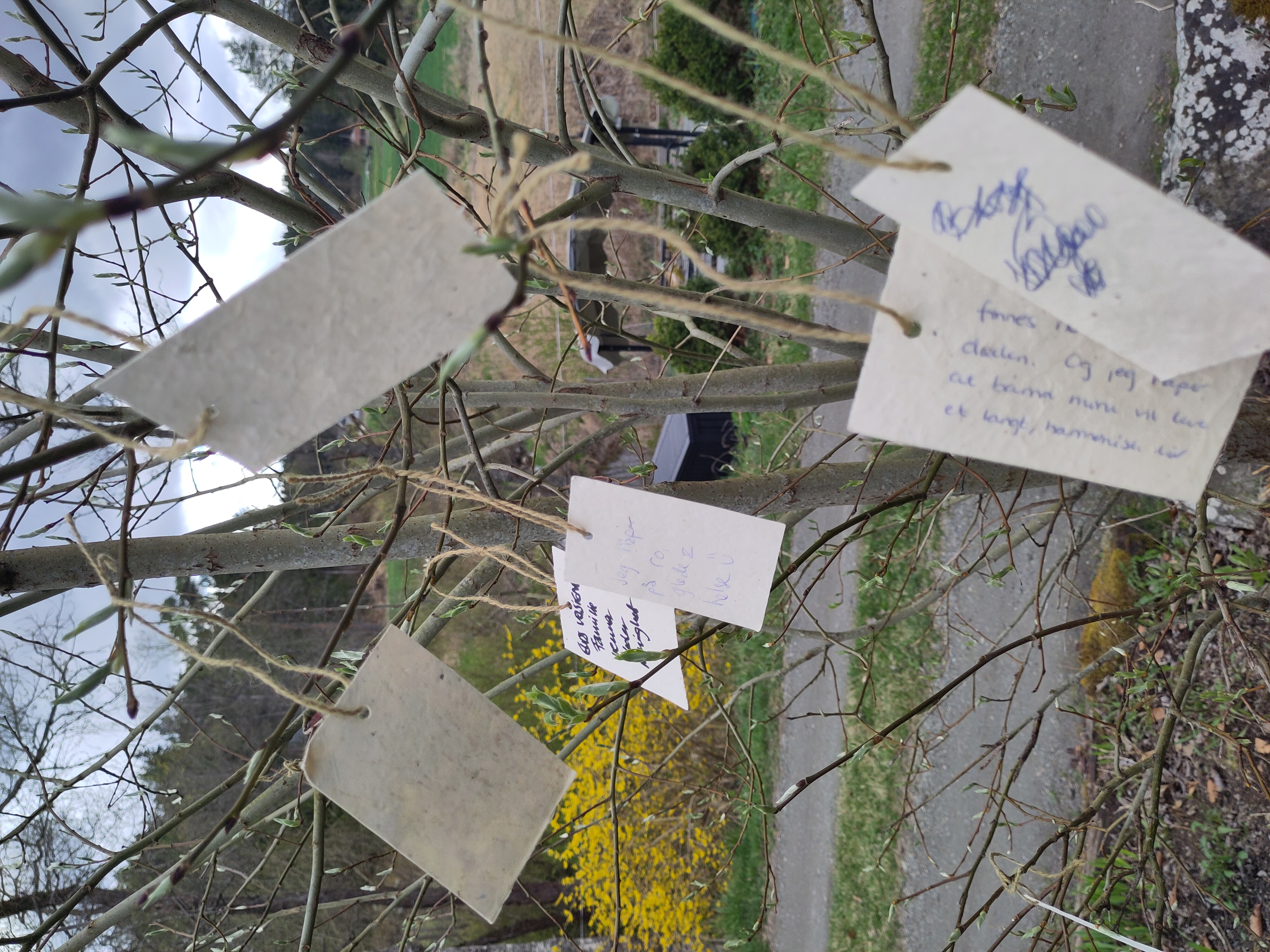 Et håpstre med våre bønner, lengsler og håp