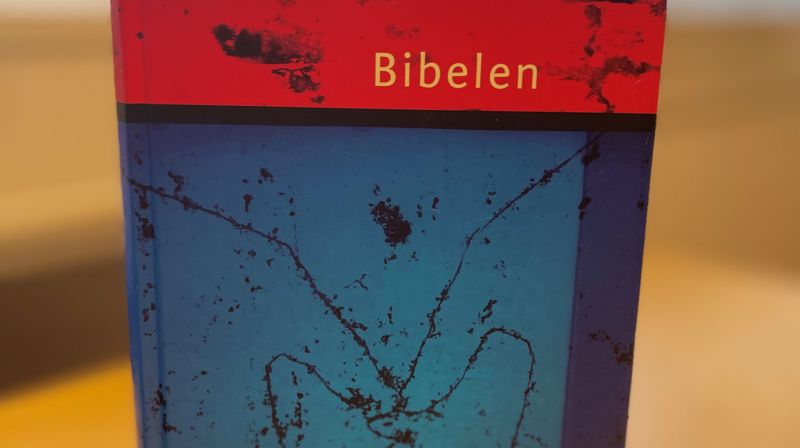 Tekster vi leser i Den norske kirke