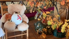 Bok til fireåringene. Foto: Maria Stensby