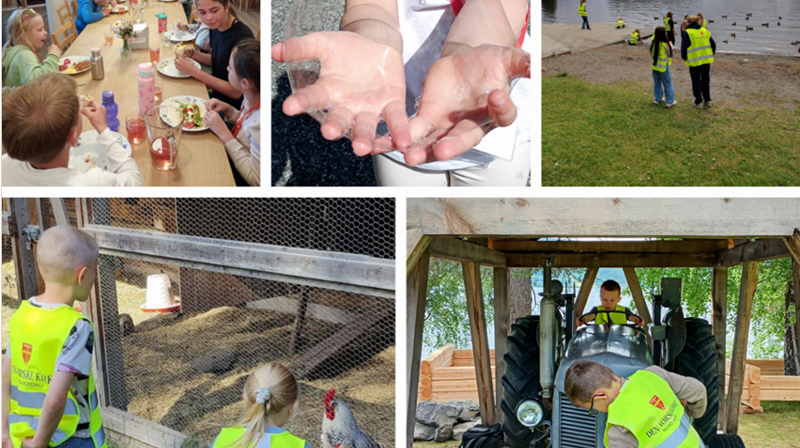 Sommerjobb som fritidsleder til aktivitetsdager for barn