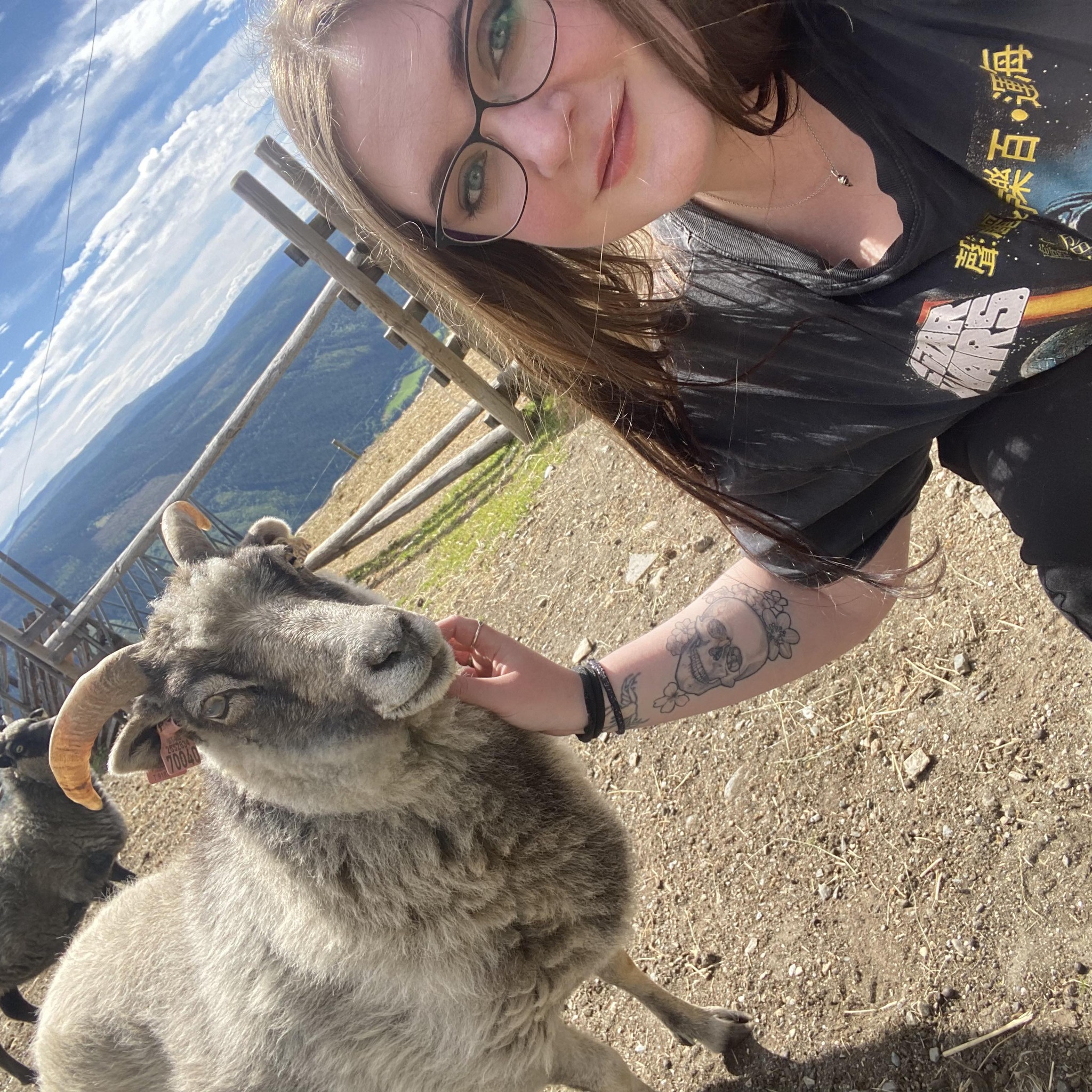 Kristin Hareide Vesteraas