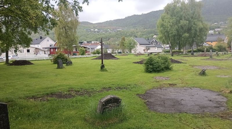 Hva skjer på Orkanger kirkegård?