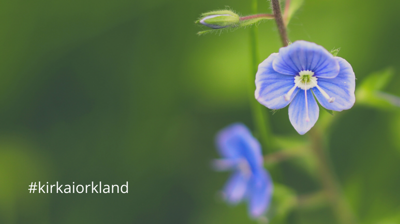 "Digital Kirkegang" 2020