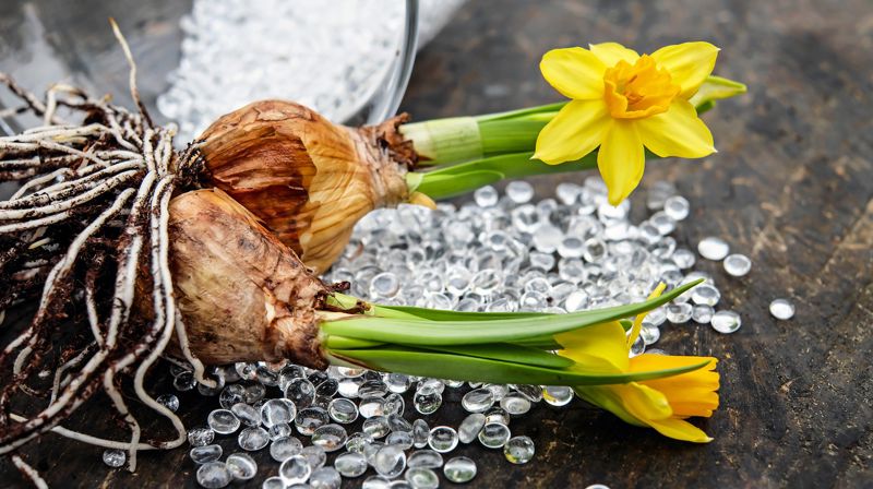 løkdag på kirkegården