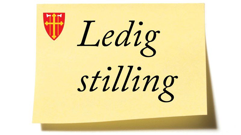 Er du vår nye sokneprest