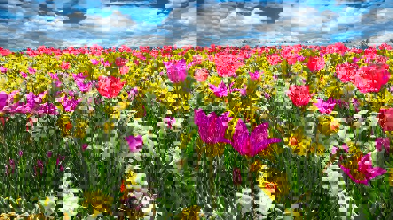 Blomsterfond i Ørland menighet