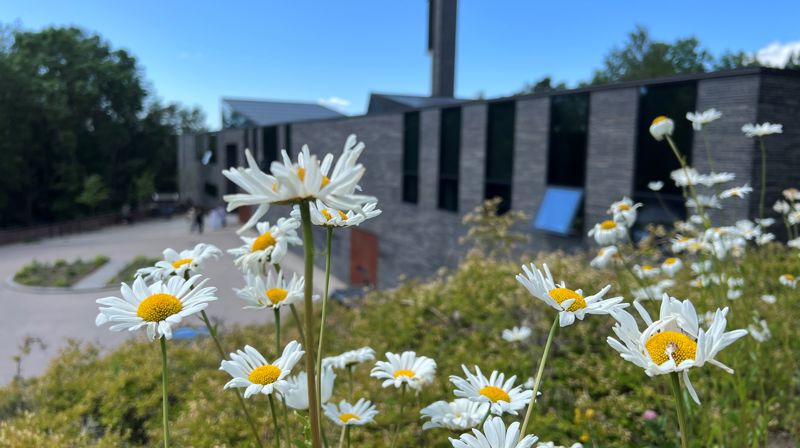 Sommeren i Bøler kirke