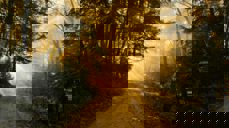 Foto av Patrick Fore_Unsplash