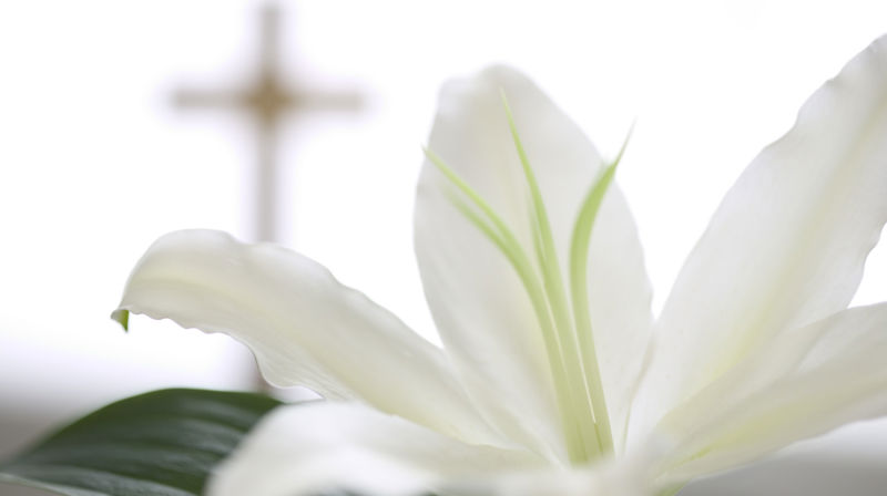 Livet etterpå - samtalegrupper