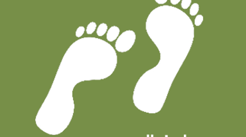 Frivillig medhjelper i gudstjenesten