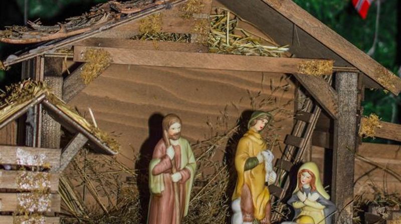 Det vergeløse barnet