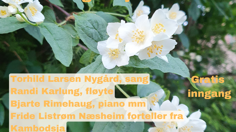 Sommerkonsert 16. juni