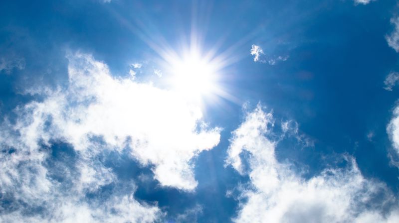 Photo by Lukas from Pexels