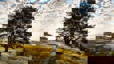 Kilde:www.pexels.com