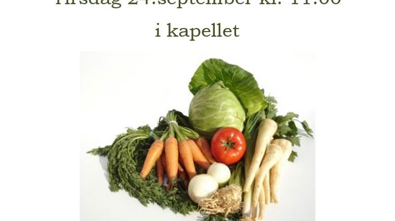 Høsttakkefest på Stovnerskogen sykehjem!