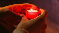 Photo by Anna Shvets from Pexels