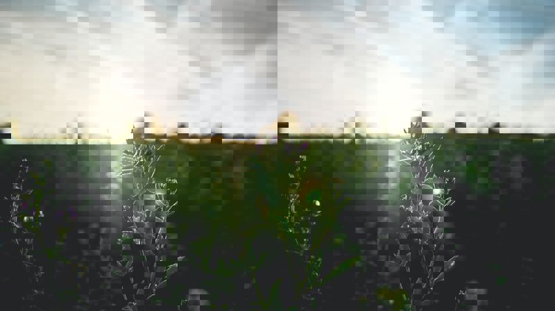 Lunsj for etterlatte i Groruddalen!