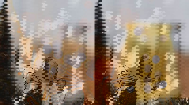 Photo by lilartsy from Pexels