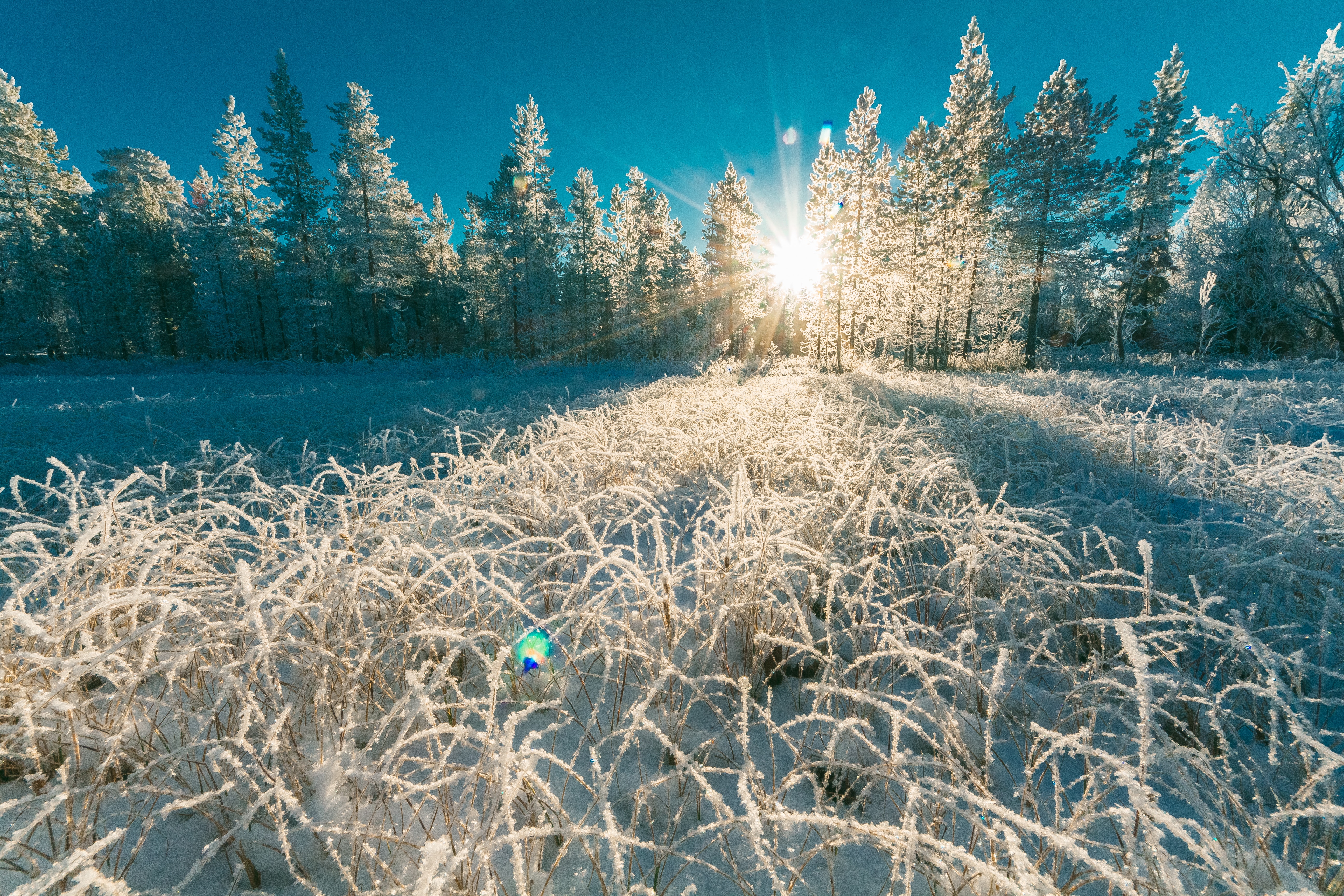 Åpne kirker i hele vinter