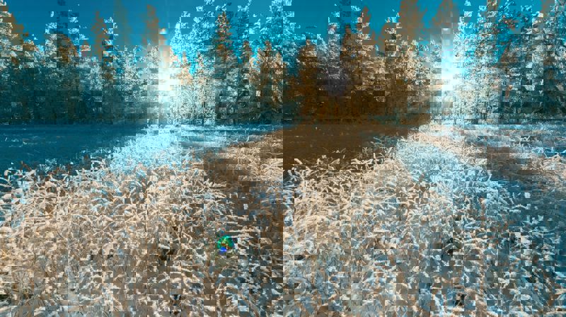 Åpne kirker i hele vinter