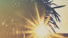 Photo by eberhard grossgasteiger from Pexels