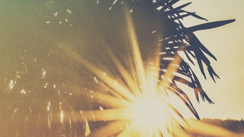 Photo by eberhard grossgasteiger from Pexels