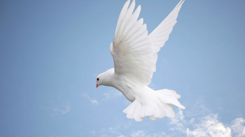 Foto: Kirkene i gamle Oslo