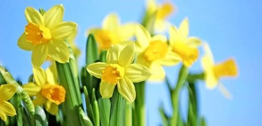 Påskevandring for 2. trinn