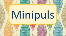 Minipuls