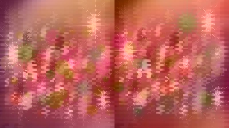 Seniortreff 5. desember