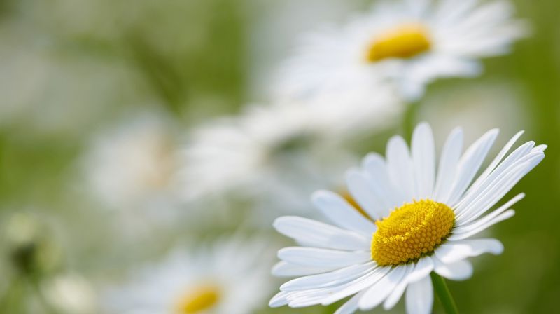 Sorg og samtaletilbud