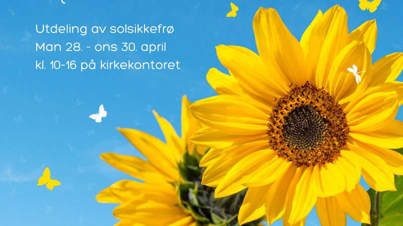 Mortensrud blomstrer