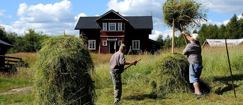 Foto: Birger Nesholen