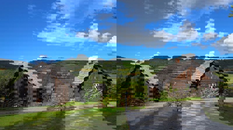 Seniortreffet drar på tur!