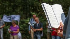 Bilde av DoroT Schenk hentet fra Pixabay