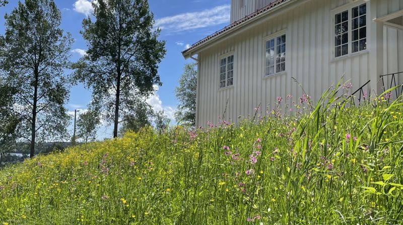 Blomstergudstjeneste på Villblomstens dag. 16. juni