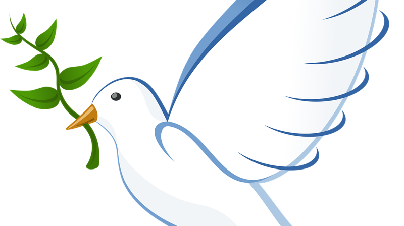 Nordberg menighetsråd støtter biskopenes uttalelse om situasjonen i Gaza!