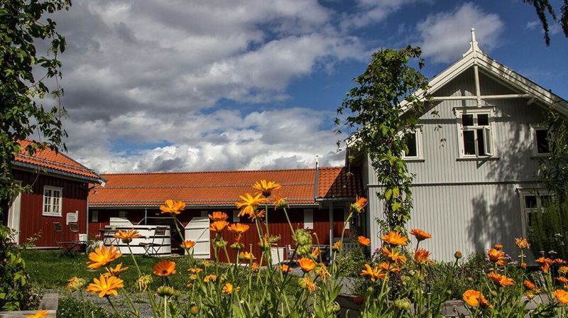 Sommertur til Wildenveys rike