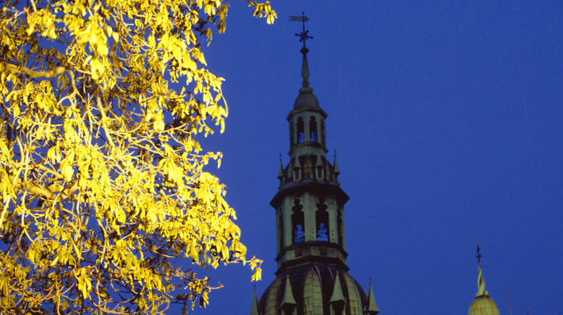 Draumkvedet i høymessen