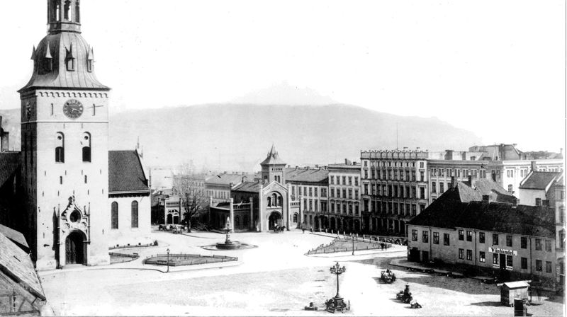 The Cathedral anno 1860