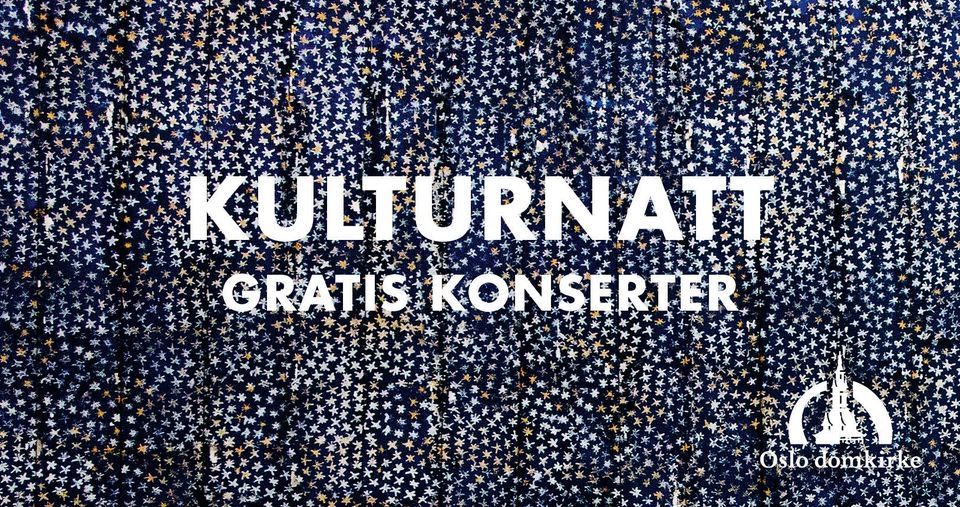 Kulturnatt i Oslo domkirke