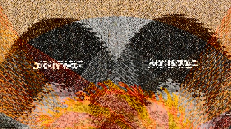 Preken fra høymesse 11. juli 2021