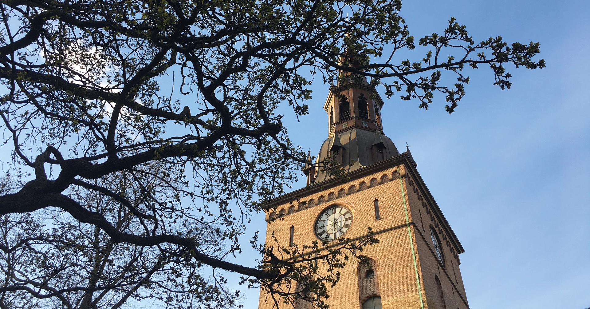 Oslo domkirke 7.–13. juni