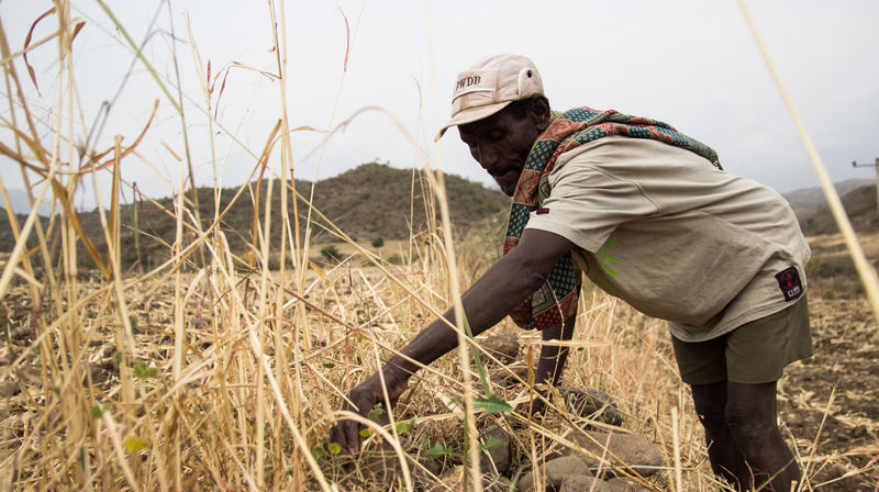 I kriser er vann kritisk