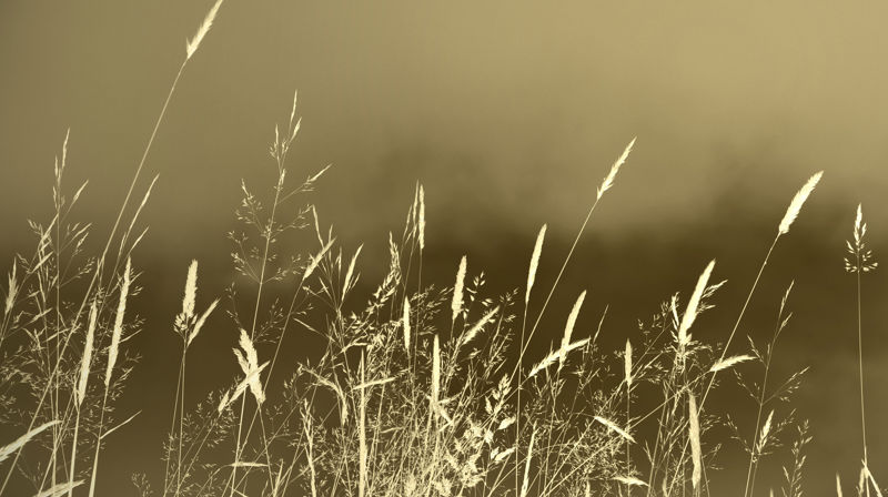 Foto: Linda Halvorsen