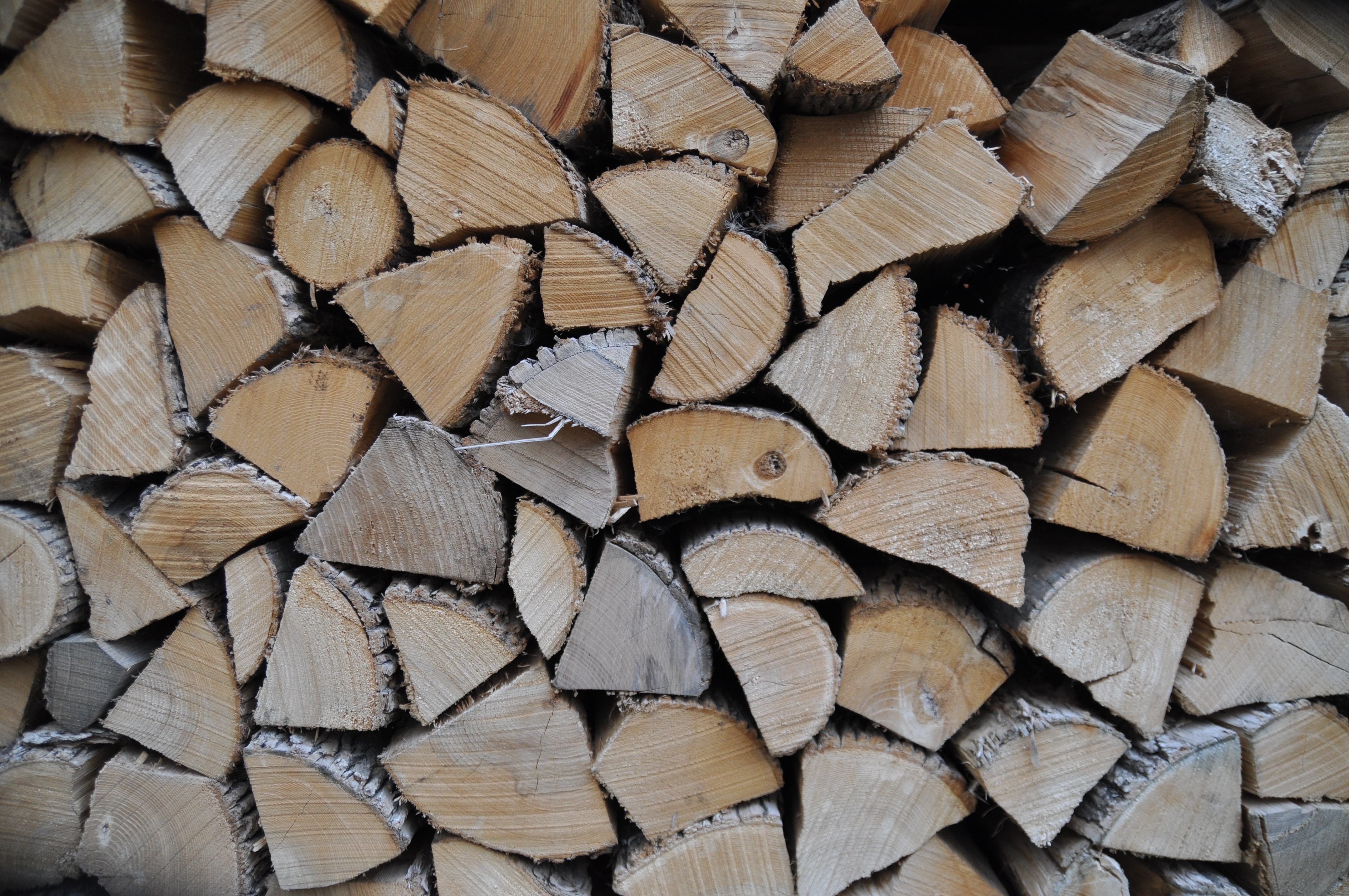 Hentet fra unsplash.com. Foto: Peter Lewicki