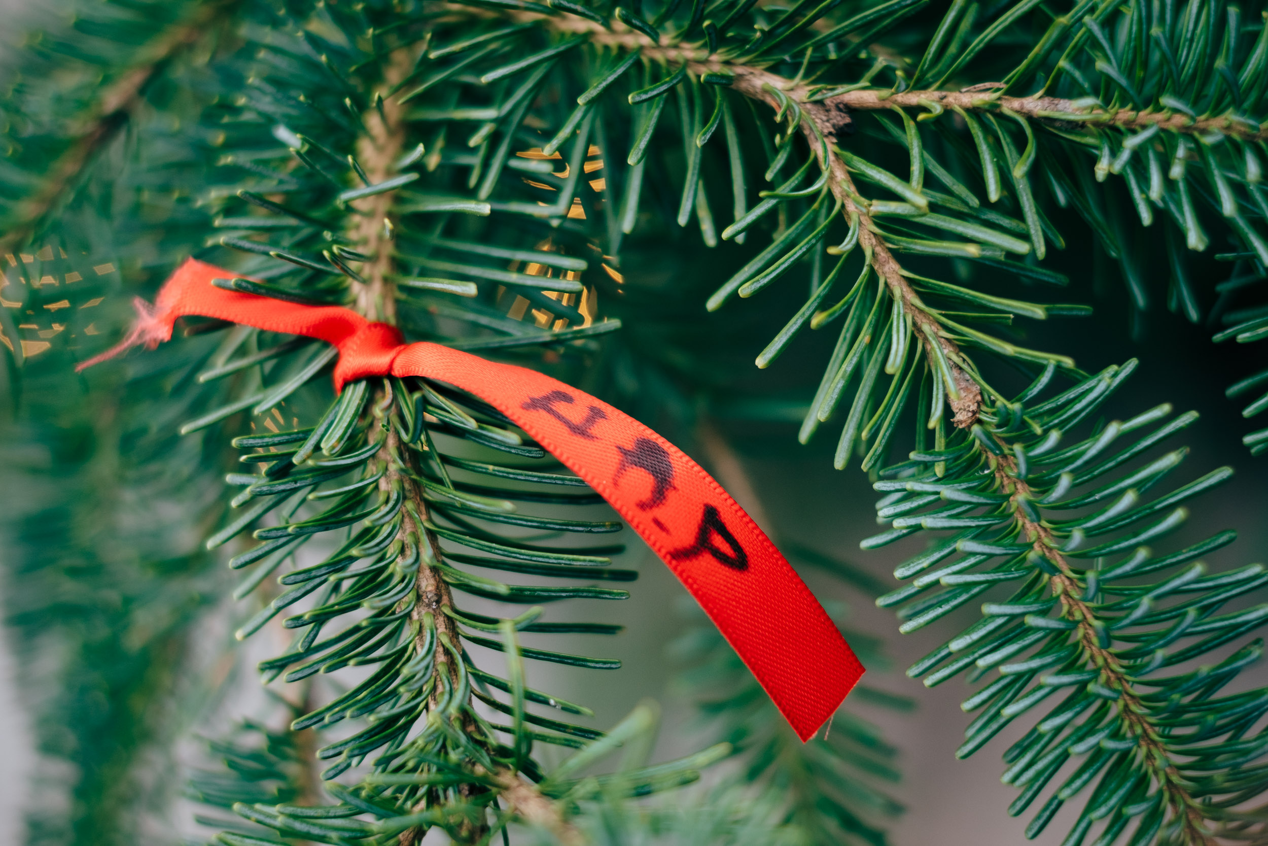 Foto: Alf Martin Lie