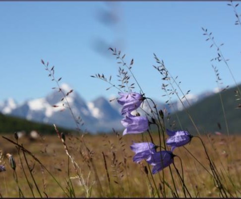 Nå åpner savnet sine øde vidder.